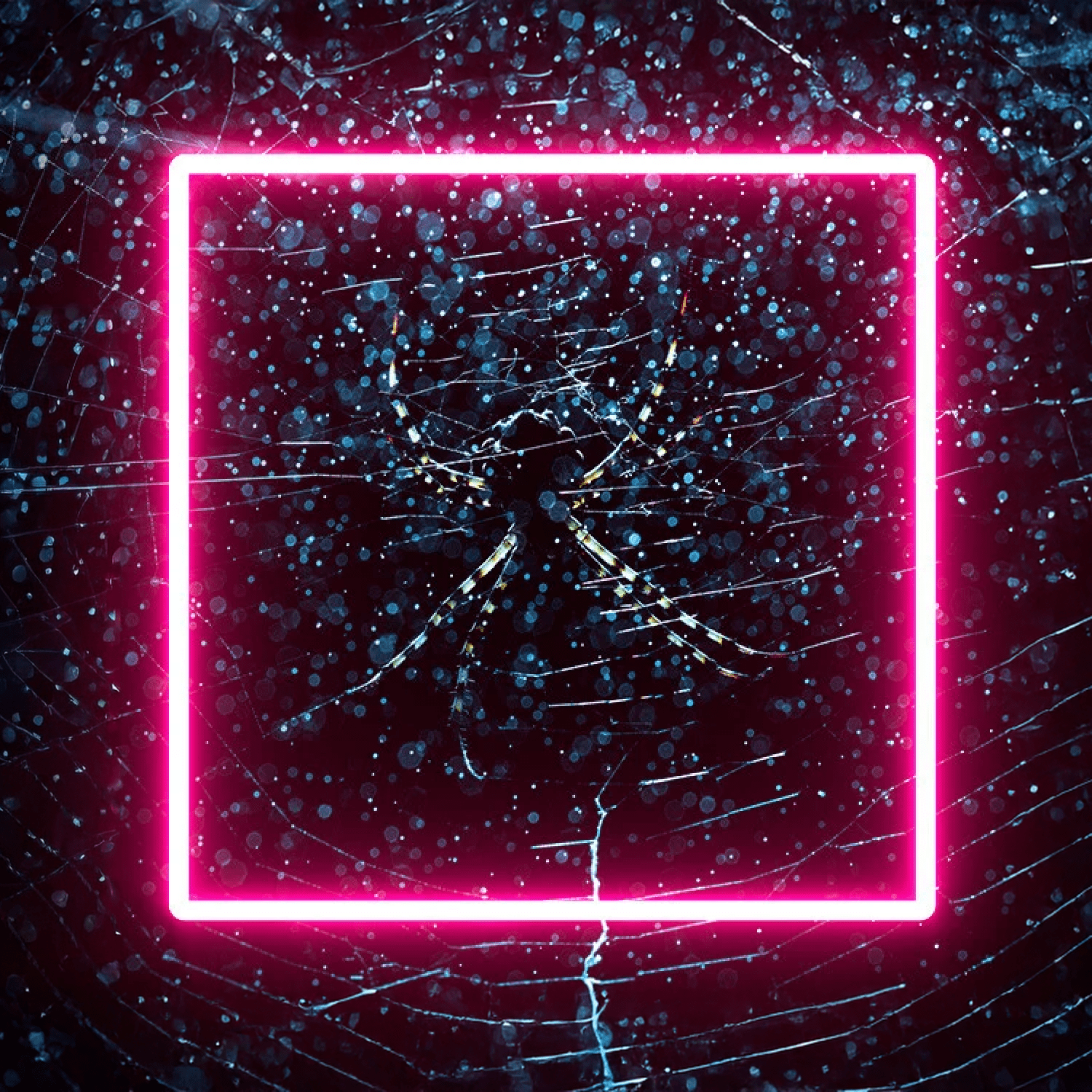 How personalisation cultivates engaged first-party audiences