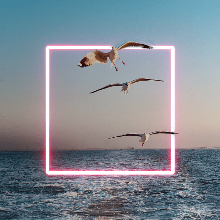 How many campaigns is too many?