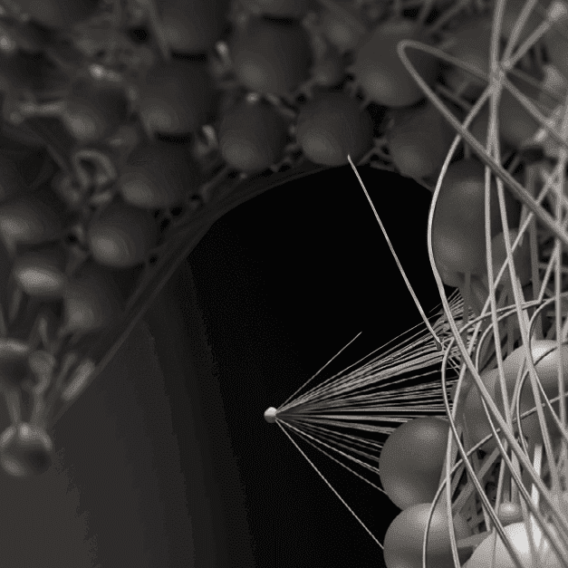 B2B organisations aren’t making the most of employer brand