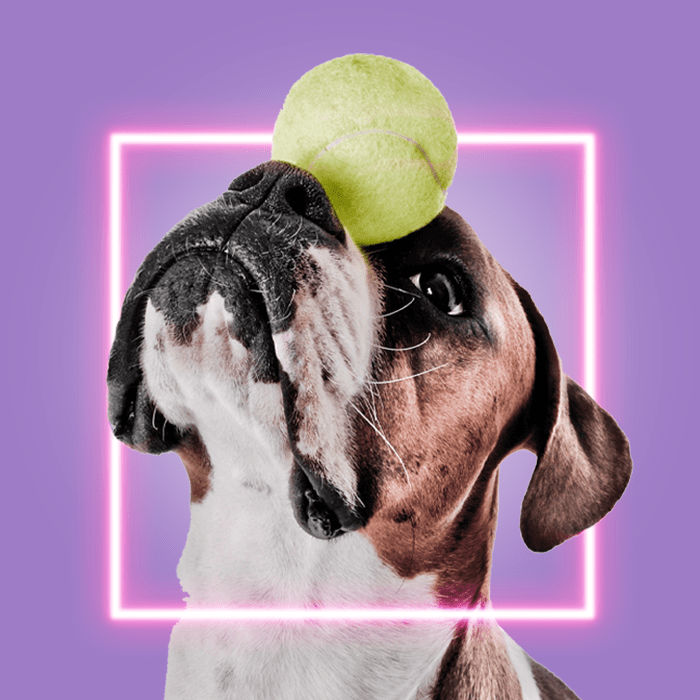 The LinkedIn brand to demand playbook