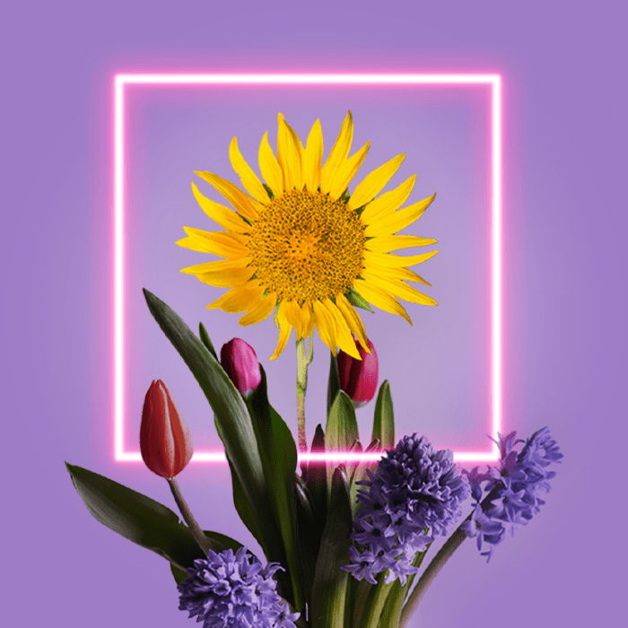 The science of unique brand identity