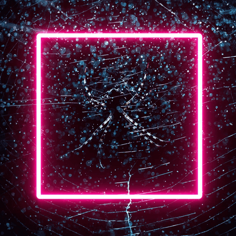 How personalisation cultivates engaged first-party audiences