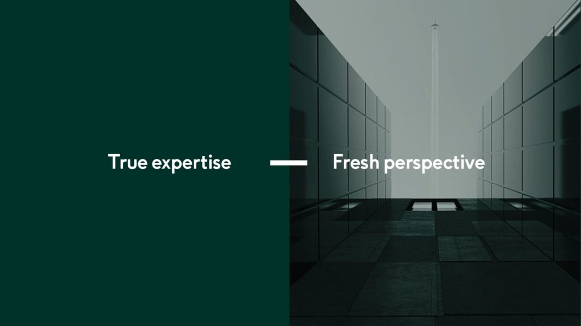 A visual from the McGill website with the words 'True expertise - Fresh perspective'