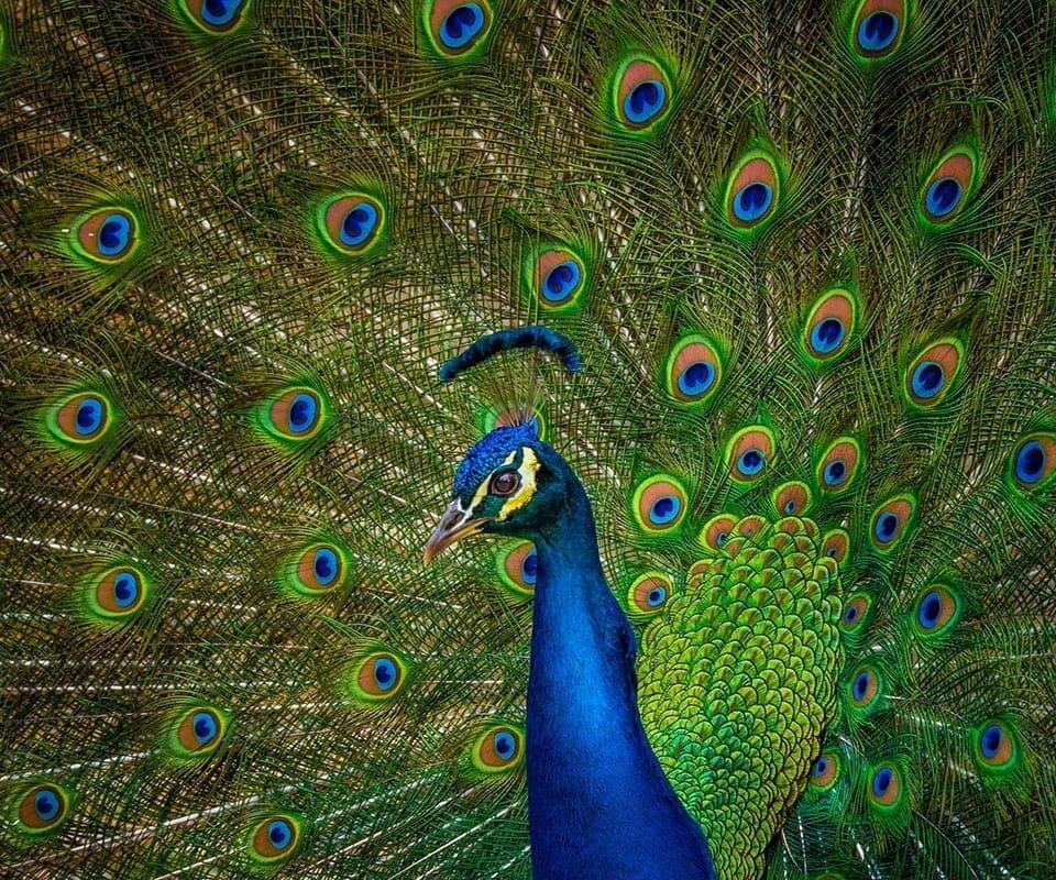 Crunching the digital display numbers