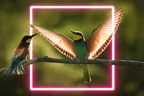 ABM in 2025 and beyond