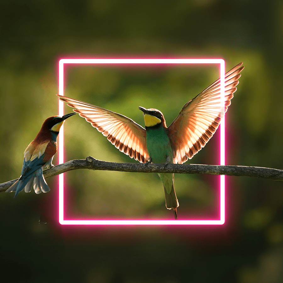 ABM in 2025 and beyond