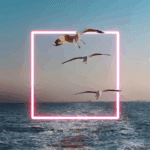 How many campaigns is too many?