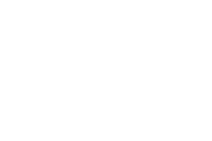 Google Partner