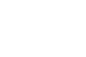 Mouseflow