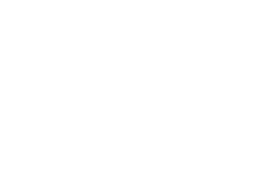 WPMU Dev